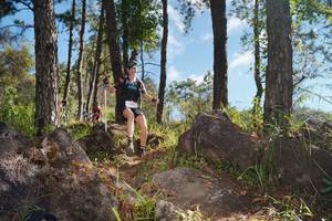 BIB: 
                            <button type="button" onclick="openModal(18938734)" class="btn btn-primary btn-sm float-right btn-popup" data-toggle="modal" data-target=".modal-high-quality">
                        <i class="fas fa-shopping-cart"></i> Add to Cart
                    </button>
                                            <button type="button" onclick="isThisMe(18938734, true)" class="btn btn-success btn-sm float-right btn-popup btn-isme hidden" data-toggle="tooltip" data-placement="bottom" title="นี่คือรูปของคุณใช่ไหม คลิกที่นี่เพื่อเอาเข้าอัลบั้ม">
                        <i class="fas fa-plus"></i> Add to album
                    </button>
                    <button type="button" onclick="isThisMe(18938734, false)" class="btn btn-warning btn-sm float-right btn-popup btn-isnotme hidden">
                        <i class="fas fa-ban"></i> Remove from album
                    </button>